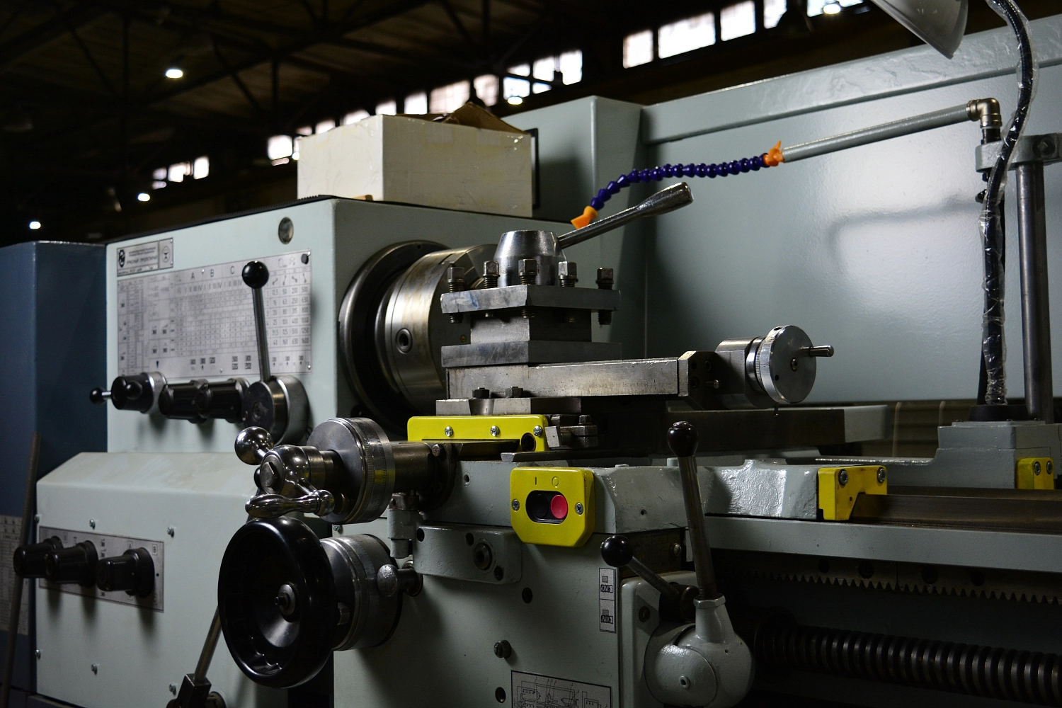 Наши новые друзья